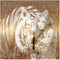 mujer y animal by EstrellaCristal - GIF เคลื่อนไหวฟรี GIF แบบเคลื่อนไหว