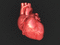 Corazón - Zdarma animovaný GIF animovaný GIF
