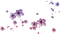 fleur violette.Cheyenne63 - png gratis GIF animasi
