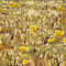 Yellow Flower Field - Ilmainen animoitu GIF animoitu GIF