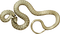 Schlange snake - безплатен png анимиран GIF
