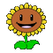 Tournesol, sunflower, Sonnenblume - Gratis animeret GIF animeret GIF
