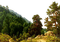Background Autumn - bezmaksas png animēts GIF