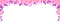 cute pink flower border gif frame - Безплатен анимиран GIF анимиран GIF