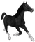 Kaz_Creations Animals Horses Horse - zdarma png animovaný GIF
