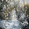 kikkapink background tree lights snow winter - Δωρεάν κινούμενο GIF κινούμενο GIF