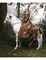 image encre femme cheval paysage robe edited by me - png gratuito GIF animata