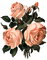 Salomelinda fleurs roses ! - PNG gratuit GIF animé