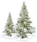 Winter trees landscape_hiver arbres paysage - zdarma png animovaný GIF