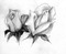 roses blanches - gratis png animeret GIF
