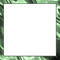 frame-shiny-green