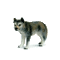 wolf - Ilmainen animoitu GIF