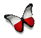 papillon - GIF animate gratis GIF animata