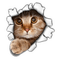 cica - cat - PNG gratuit GIF animé