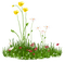 kikkapink deco grass flowers - zdarma png animovaný GIF