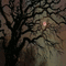 dark tree arbre gothic goth baum moon düster   paysage landscape image fond background   gif anime animated animation lune mond