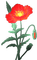 fleurs ( - png gratis GIF animasi