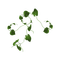 kikkapink deco scrap green ivy - png gratuito GIF animata