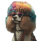 loly33 chien hippie - ücretsiz png animasyonlu GIF