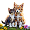 loly33 chien chat printemps - png grátis Gif Animado