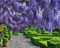 Flowers purple bp - besplatni png animirani GIF