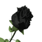 Rosa negra - GIF animé gratuit GIF animé