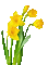 Flowers yellow bp - Бесплатный анимированный гифка анимированный гифка