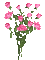 flower,rose - Безплатен анимиран GIF анимиран GIF