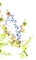 fleur.Cheyenne63 - безплатен png анимиран GIF