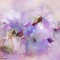 Сиреневый  цветочный фон - gratis png animeret GIF