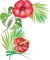 tropical flowers Bb2 - bezmaksas png animēts GIF