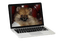 Pomeranian - bezmaksas png animēts GIF