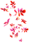 Leaves.Pink.Red.Orange - Free PNG Animated GIF