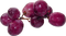 raisins, grape - GIF animé gratuit
