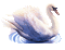 swan - Gratis geanimeerde GIF geanimeerde GIF