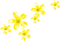 Flowers.Yellow