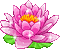 flor de loto - Gratis geanimeerde GIF geanimeerde GIF