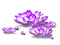 Flowers.Beads.White.Purple - PNG gratuit GIF animé