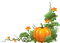nbl-pumpkin