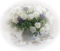 flower-white-minou52 - png gratis GIF animasi