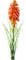 kukka, fleur, flower - zadarmo png animovaný GIF