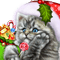 loly33 chat noël - kostenlos png Animiertes GIF