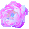 peony flower - 無料のアニメーション GIF アニメーションGIF