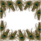 Peacock feather - 免费PNG 动画 GIF