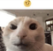 emoji raised eyebrow meme - ingyenes png animált GIF