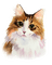 Кот ; акварель - nemokama png animuotas GIF