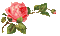 ruža - Besplatni animirani GIF animirani GIF