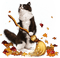 Y.A.M._Autumn cat - δωρεάν png κινούμενο GIF