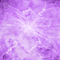purple animated background - GIF animado grátis