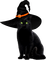 Cat.Witch.Black.Orange - PNG gratuit GIF animé